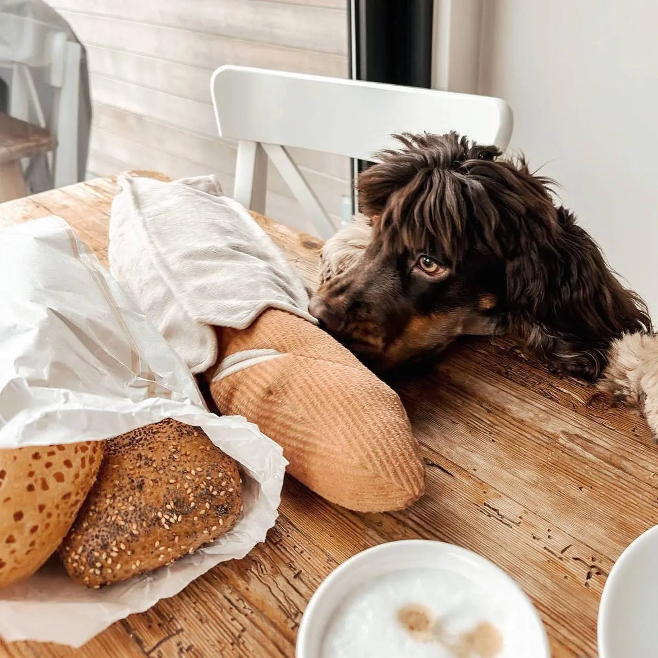 BAGUETTE //Zabawka edukacyjna Lambwolf