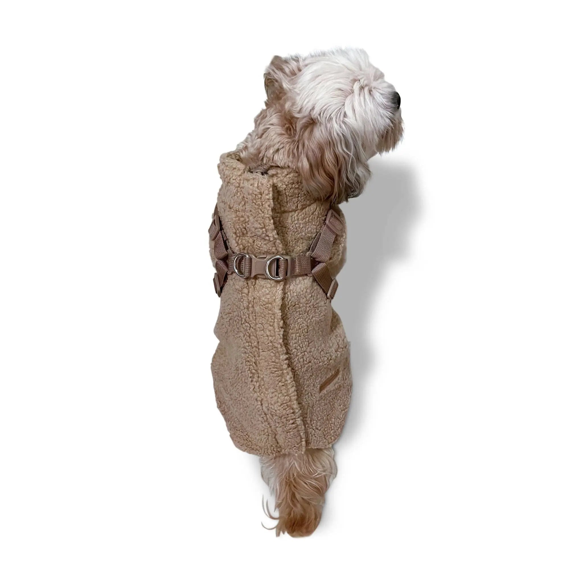 Płaszcz Puppy Boheme - Teddy Rozmiar 1 Puppy Bohème