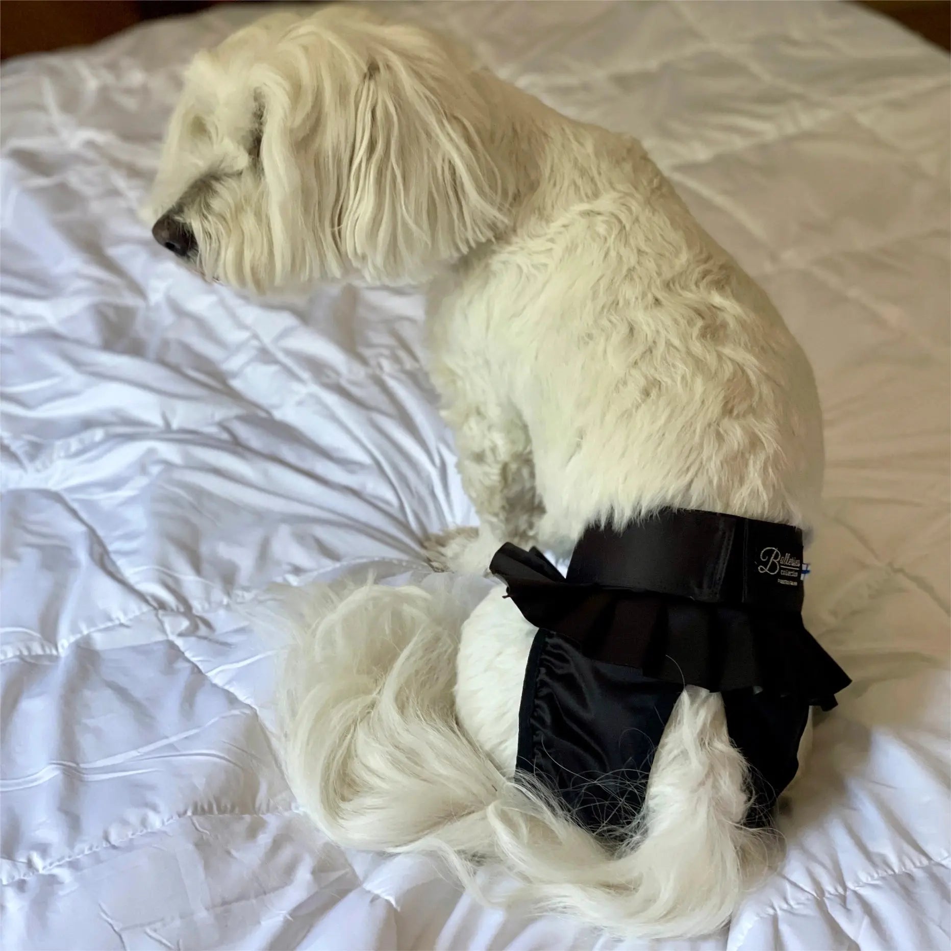 FINNERO Ballerina Dog Hygiene Pants  - Washable, black XS