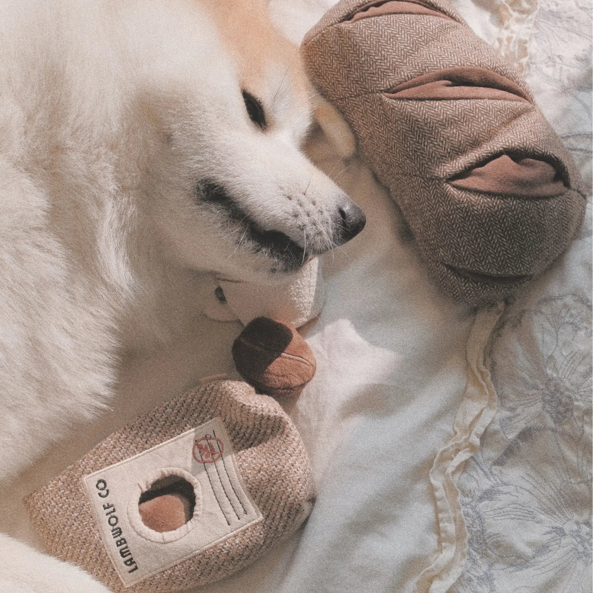 RYE//Enrichment Toy Lambwolf EU