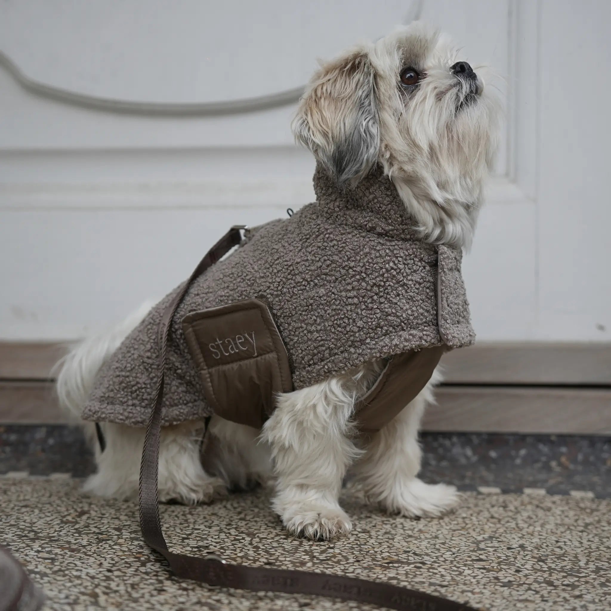 Dog Coat Teddy | Taupe: XL Staey