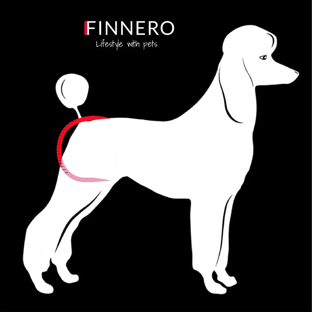 FINNERO Ballerina Dog Hygiene Pants  - Washable, black M