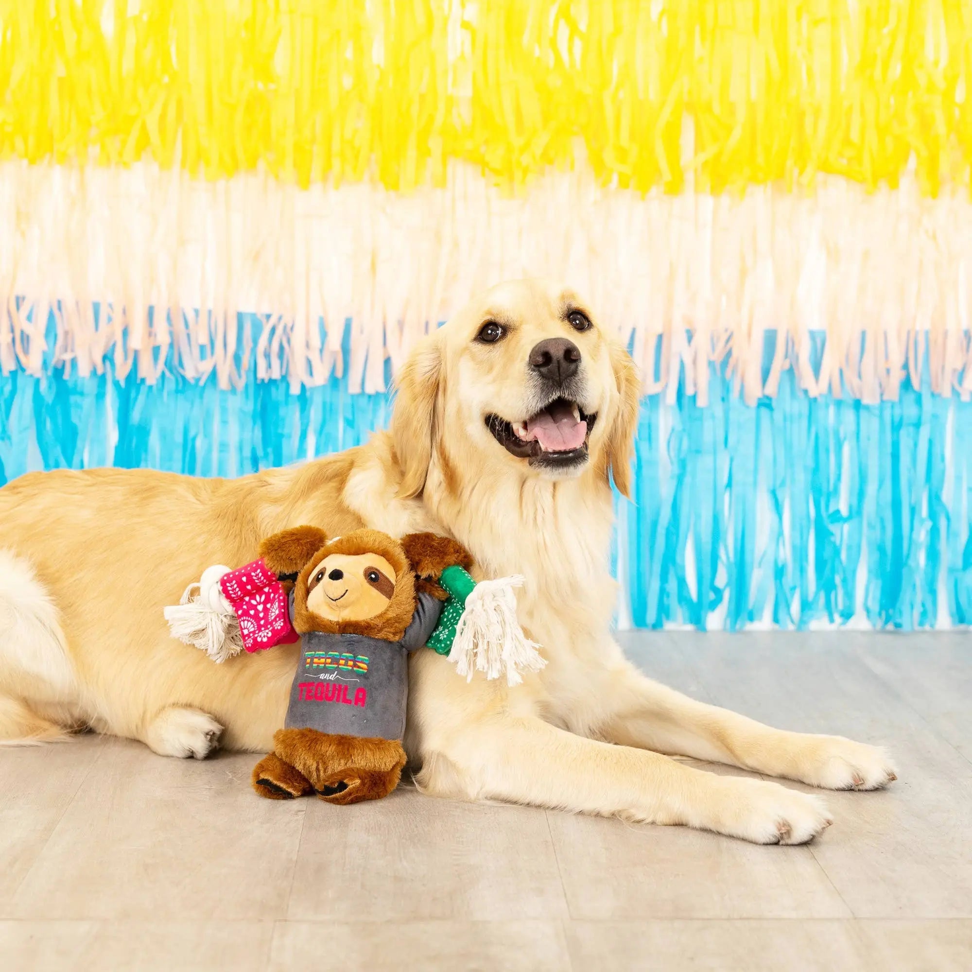 Fringe TACOS & TEQUILA PLUSH DOG TOY Fringe