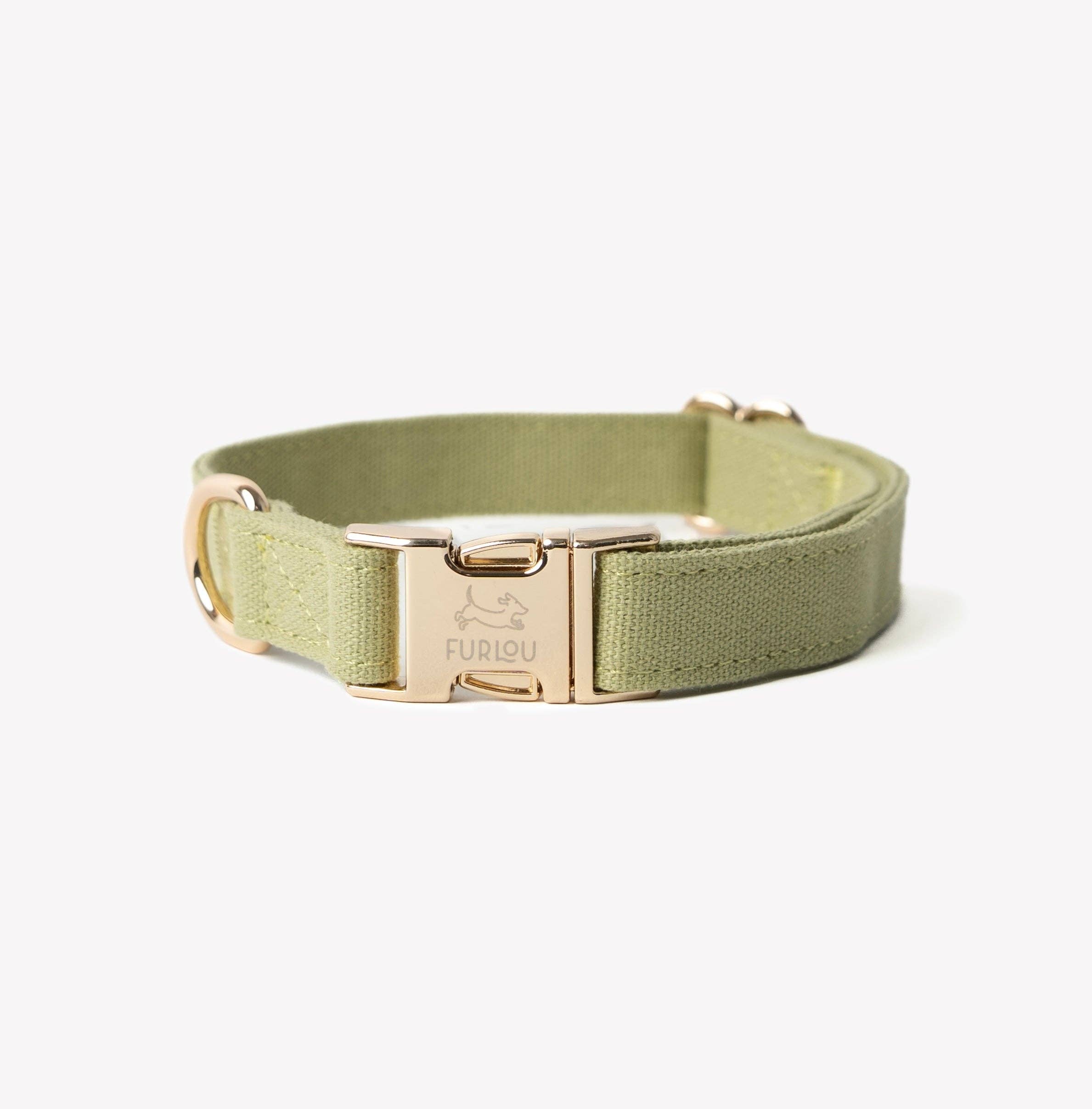 Obroża Canvas dla psa – Green