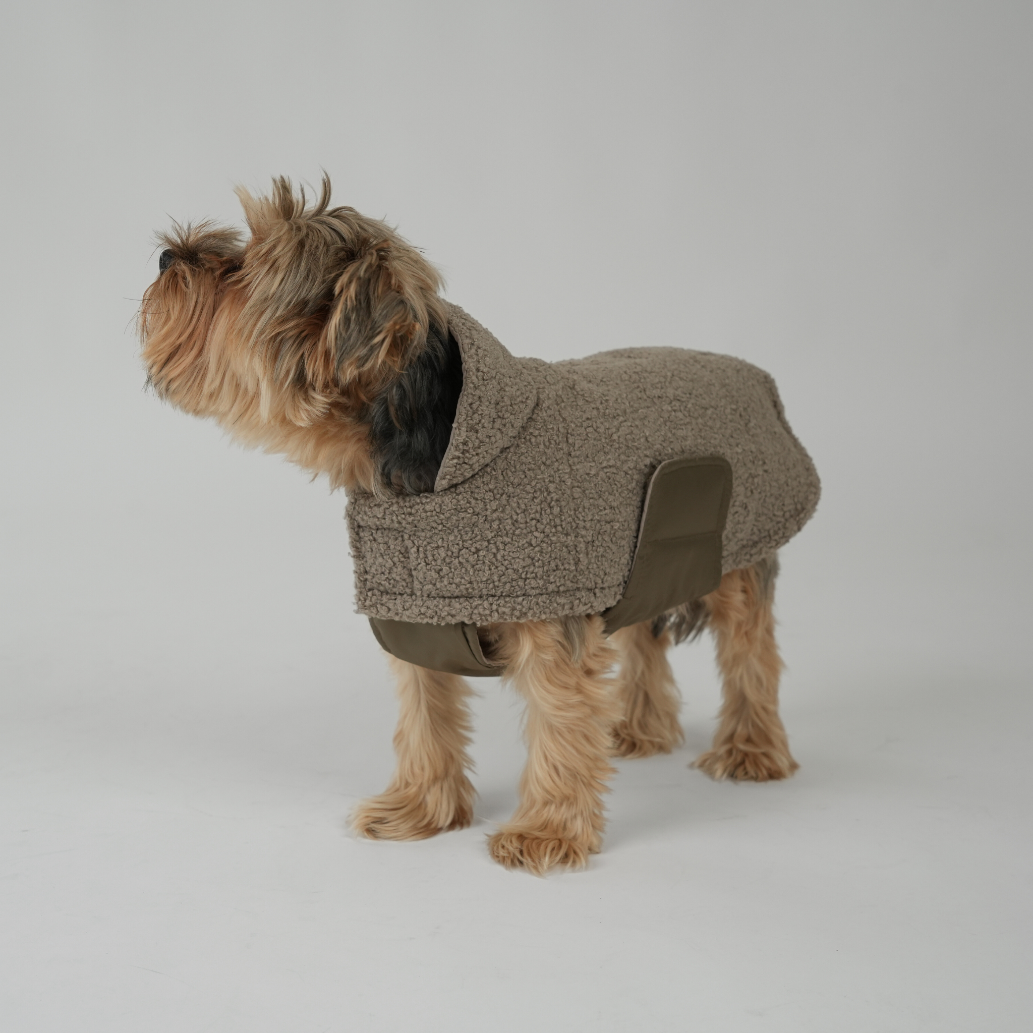 Dog Coat Teddy | Taupe: M Staey