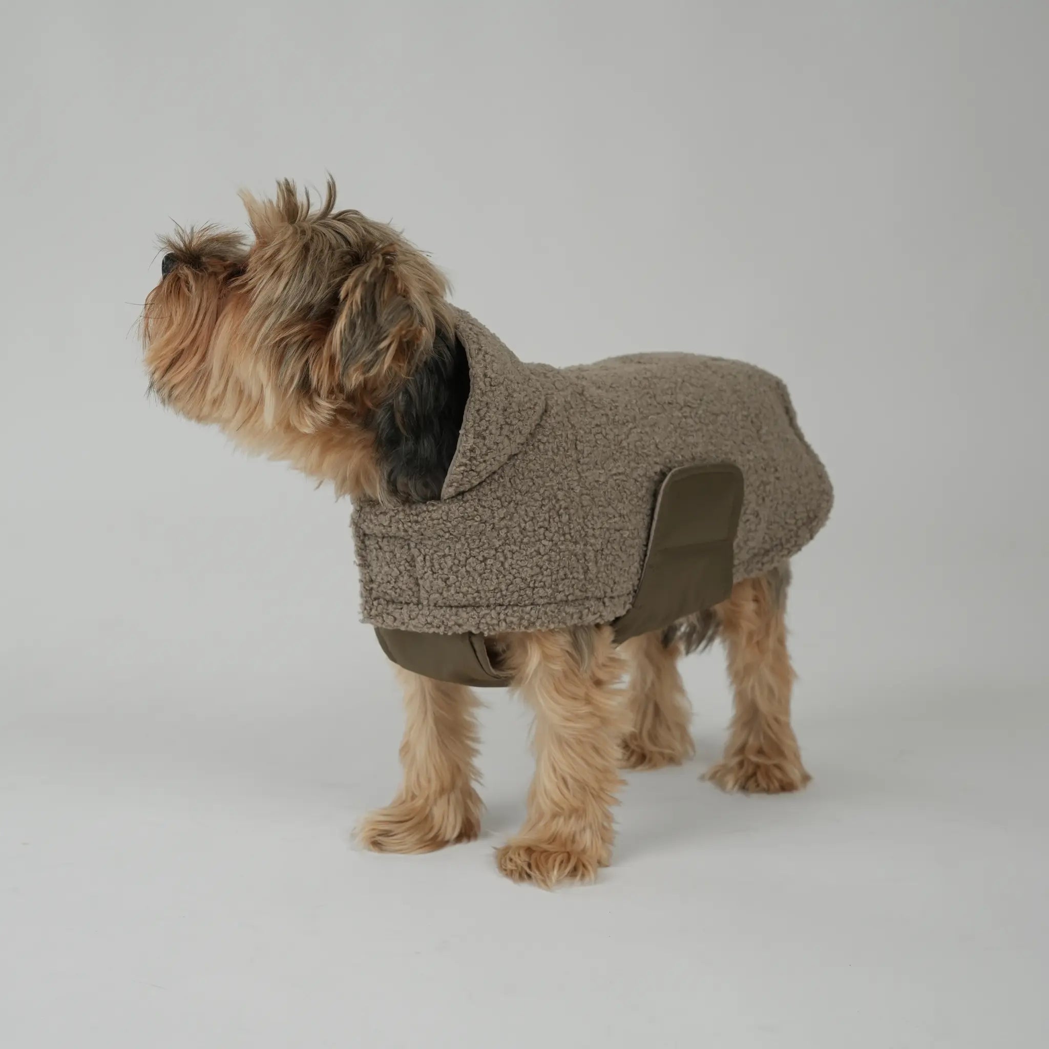 Dog Coat Teddy | Taupe: XL Staey