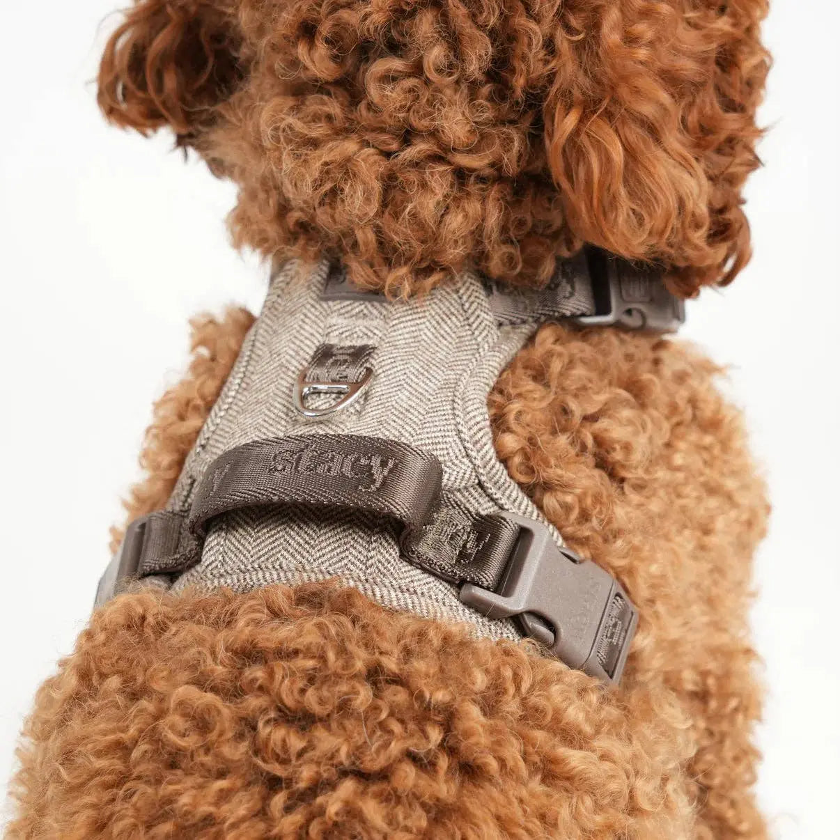 Elma Dog Harness | Mocha