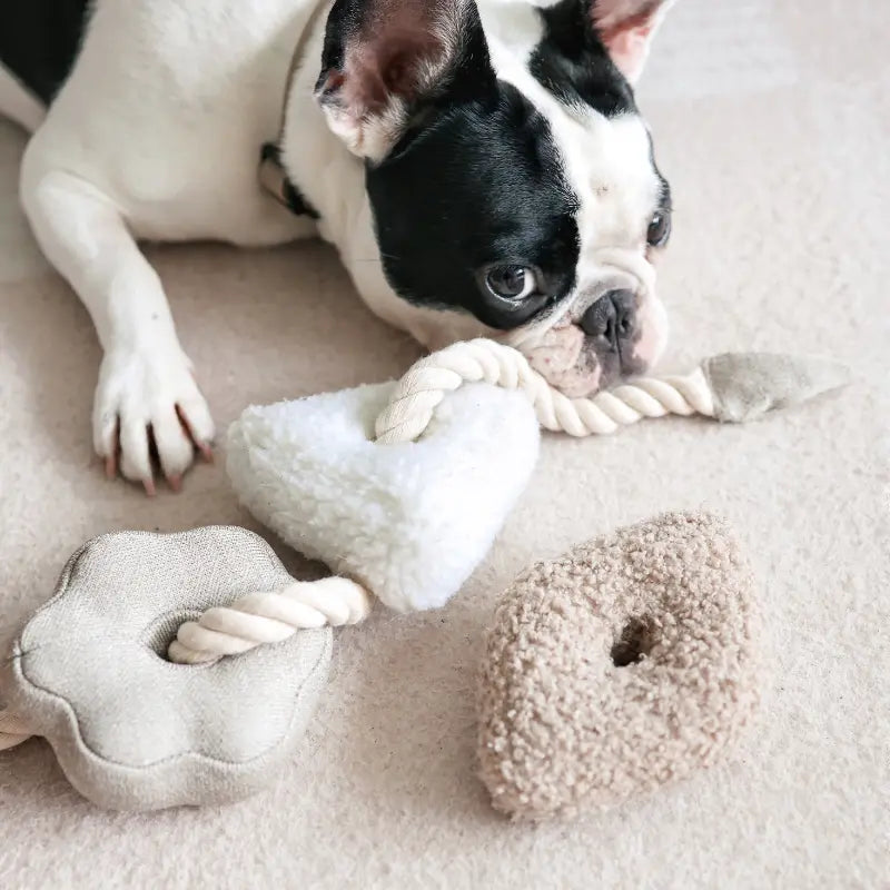 BLOCS //Enrichment Toy Lambwolf
