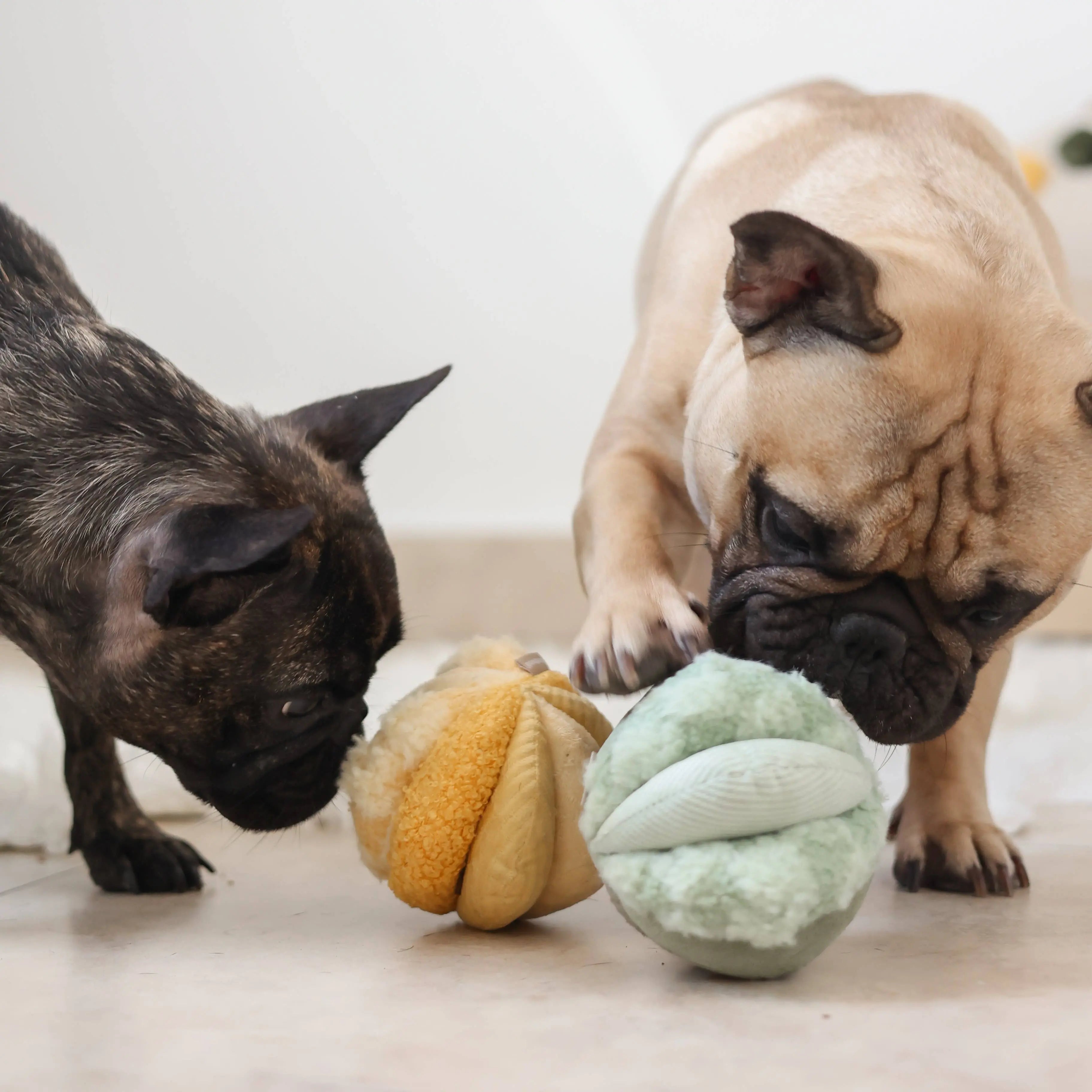 TOTO //Enrichment Toy ( small) : Green Lambwolf