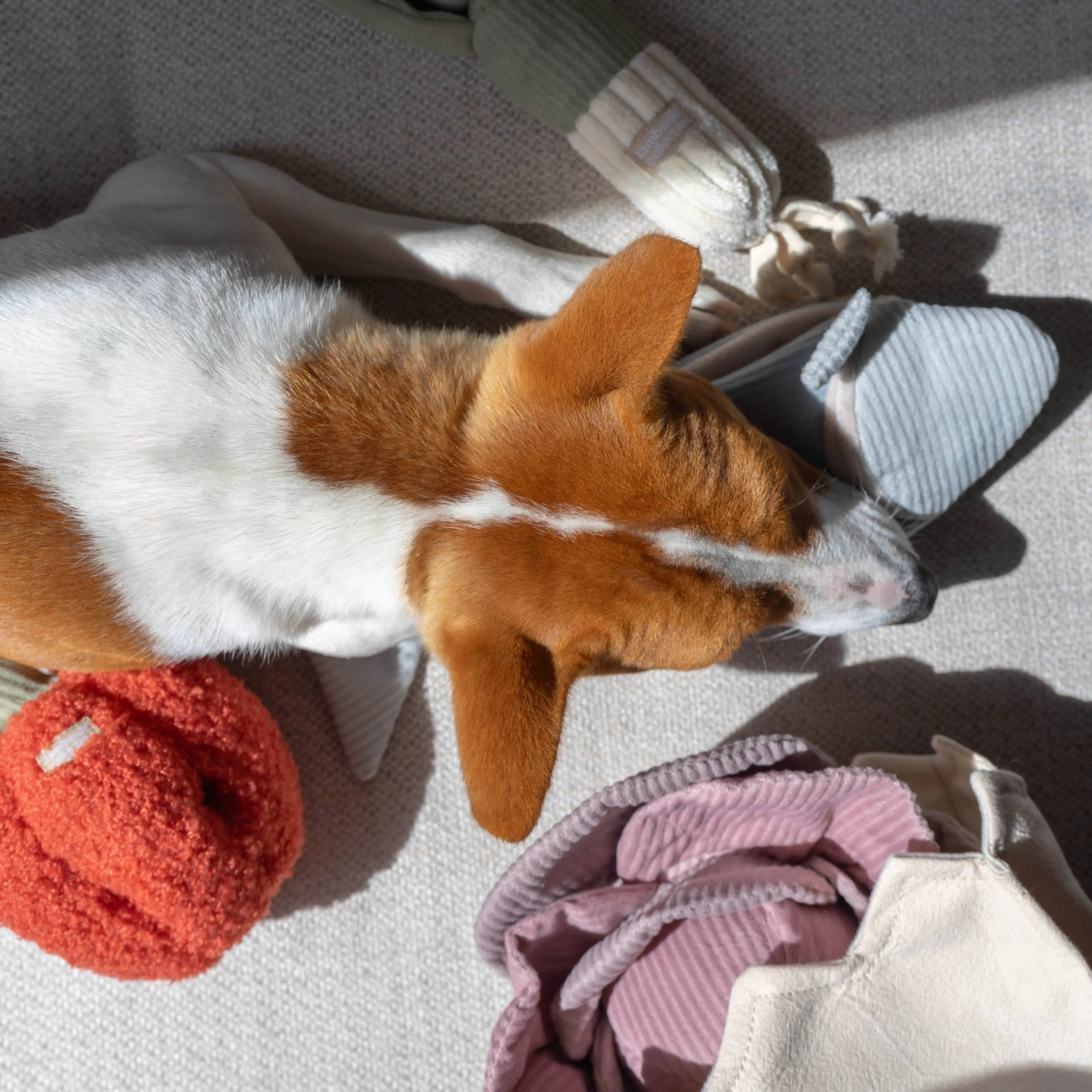 PEPPER//Enrichment Toy Lambwolf