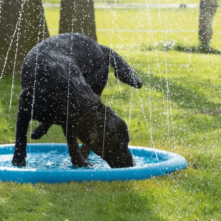 CoolPets SPLASH Mata dla psów ze spryskiwaczami 100 cm
