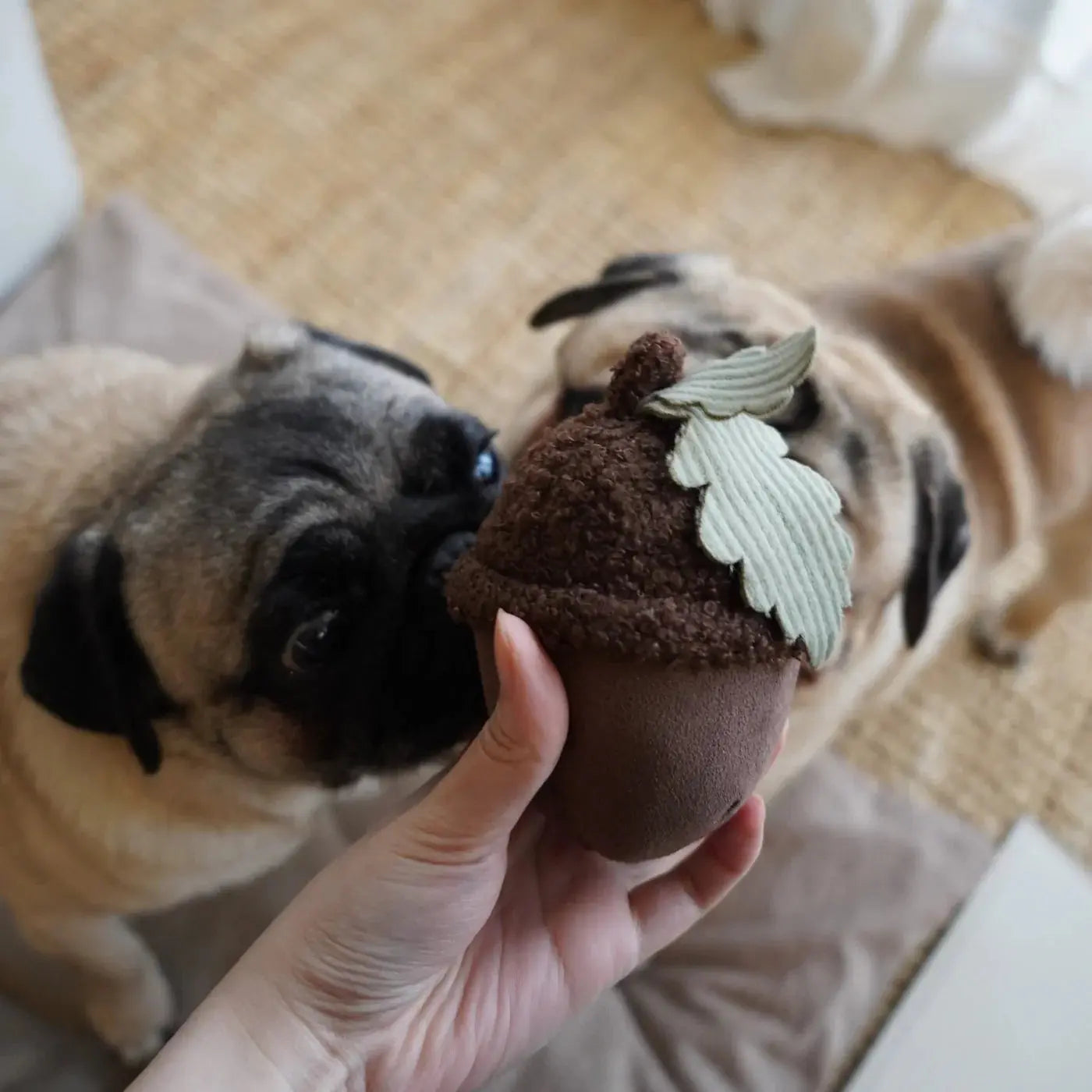ACORN SQUEAKY + BOUNCY