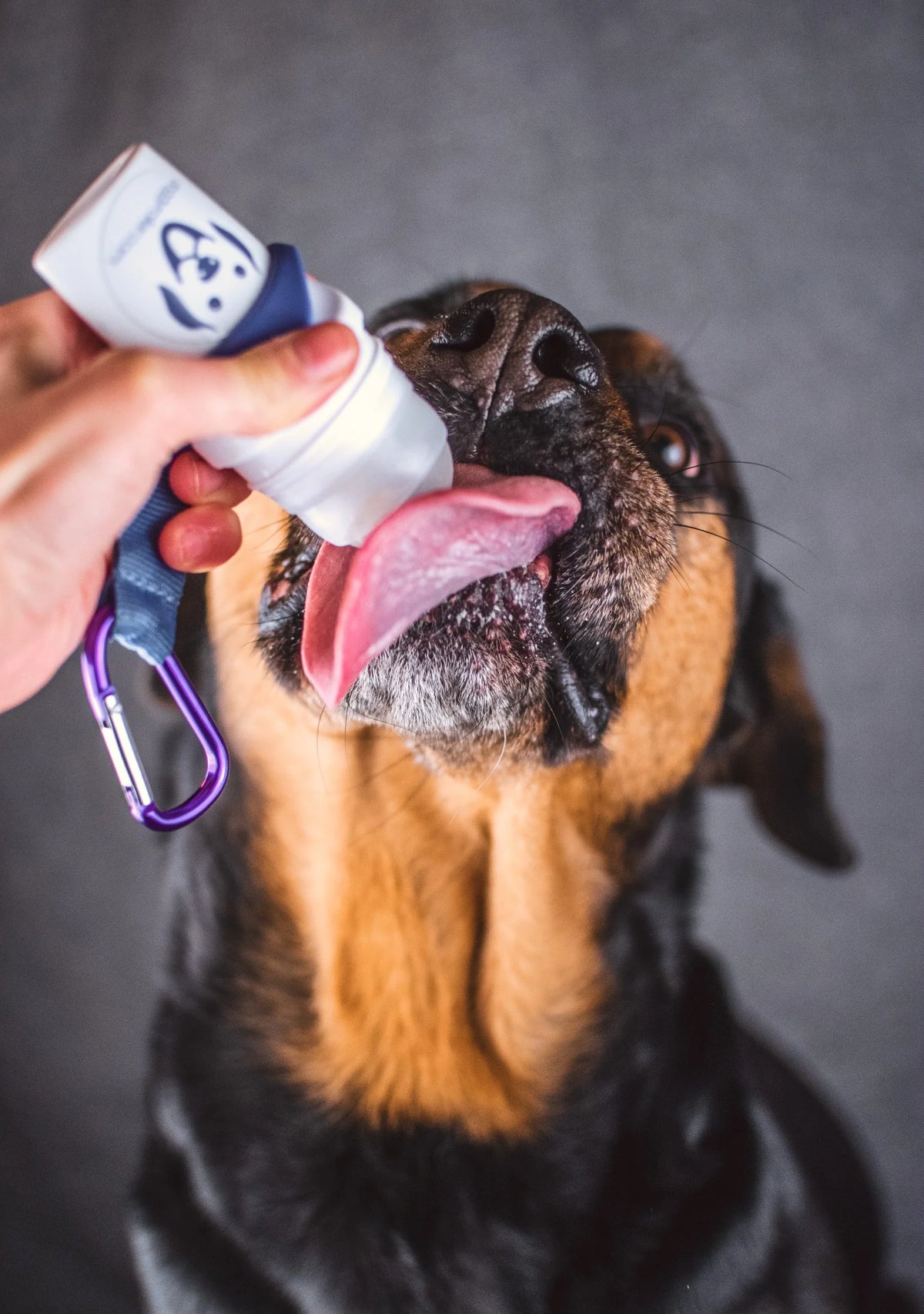 SMOOTHIEDOG DOGGY ROLLER – podajnik do półpłynnych smakołyków (niebieski)