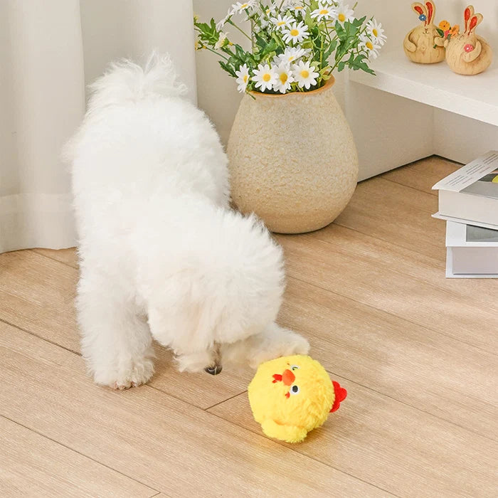 🐥 Farm Friendz – Chick – piłka dla psa