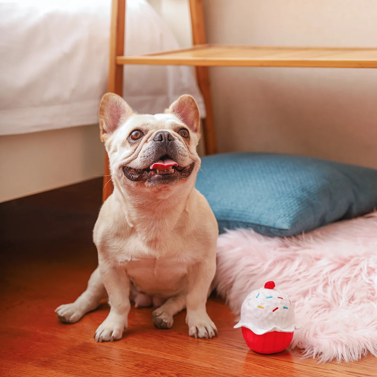 Woof Love – Cupcake – piłka dla psa