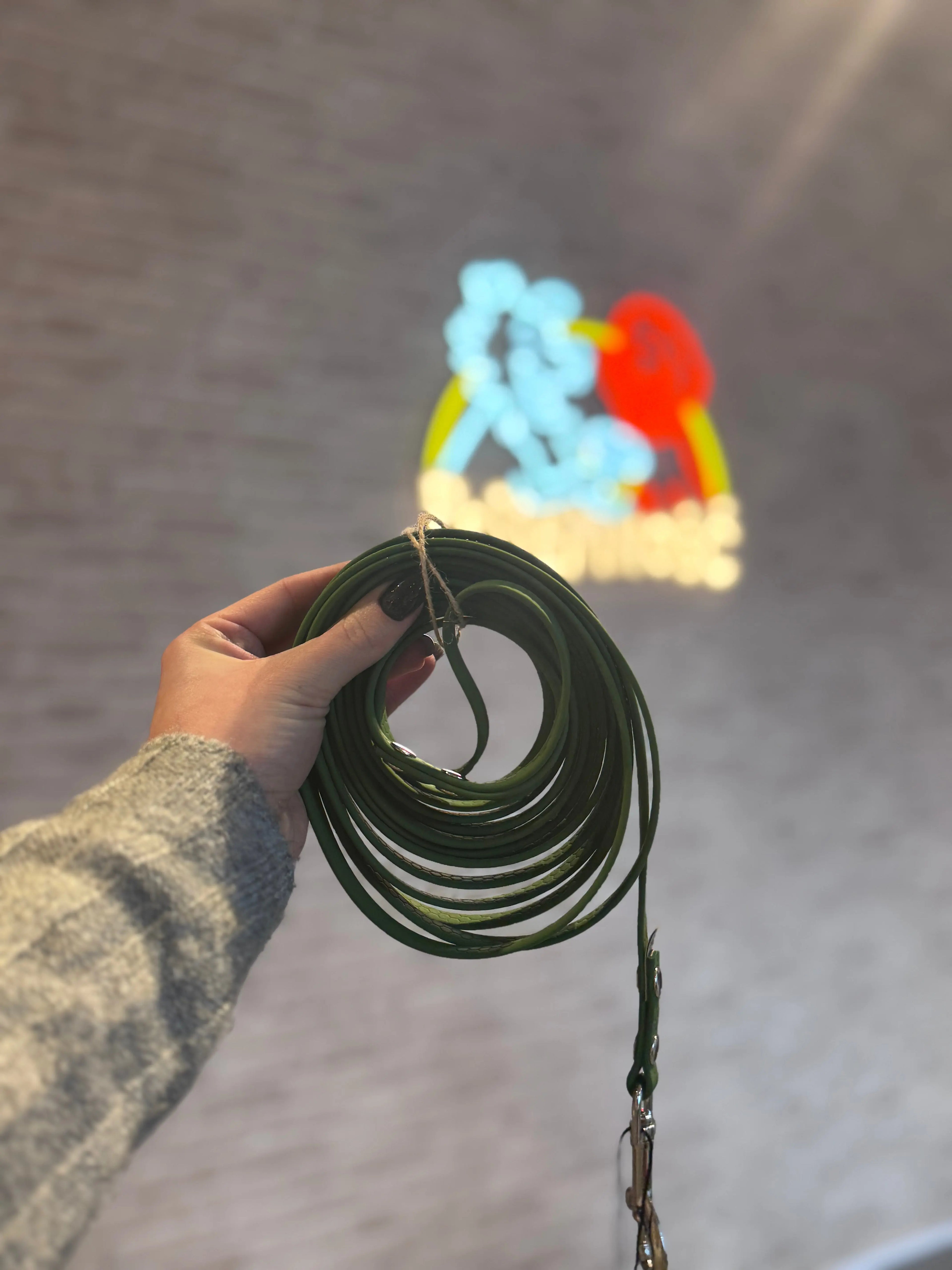 Linka treningowa dla psa 5m | 10mm | KIWI HEXA Fruity Paws