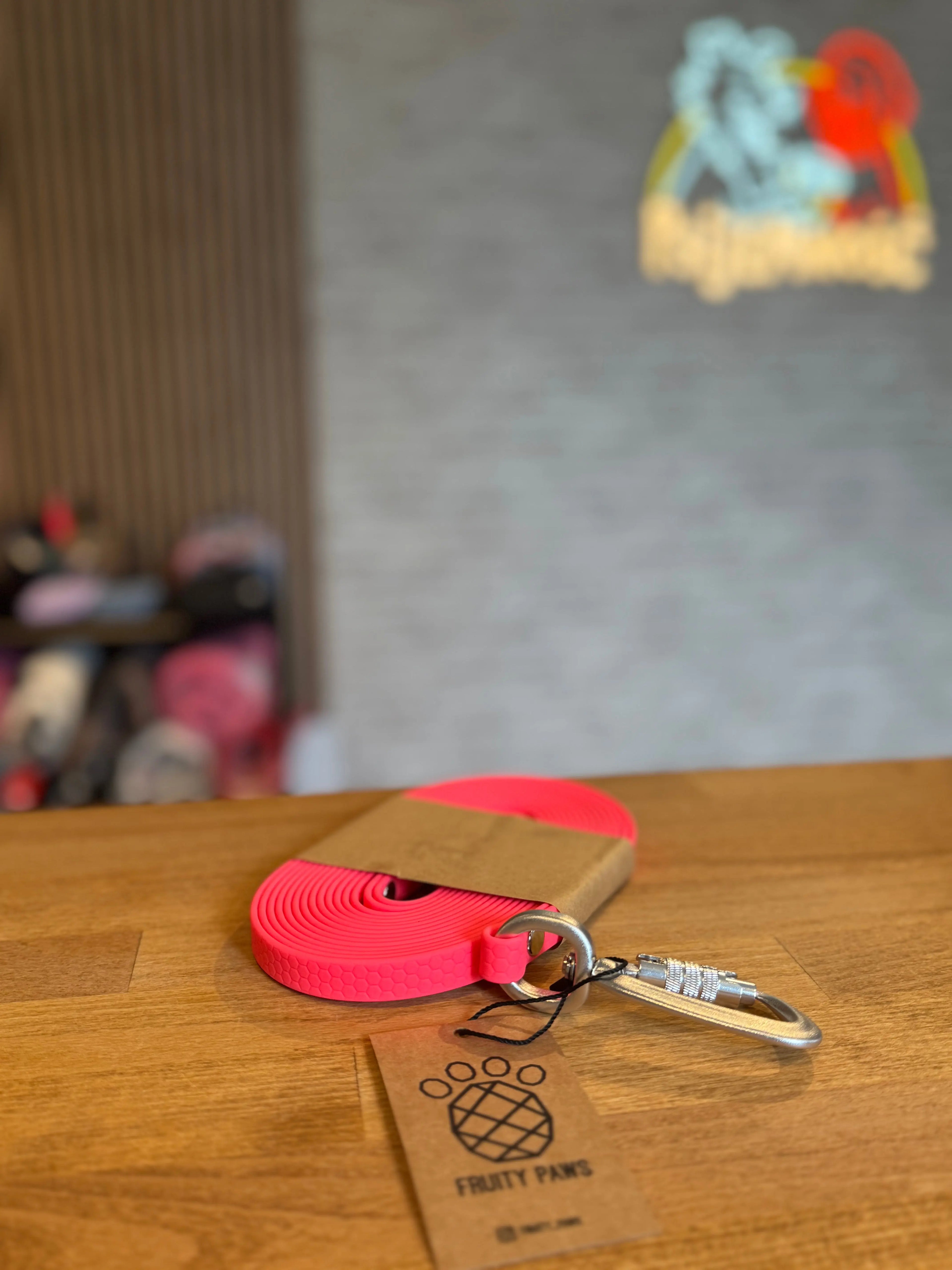 Linka treningowa dla psa 5m | 13mm RASPBERRY HEXA/ KARABIŃCZYK ALUMINIOWY Z BLOKADĄ (srebrny)