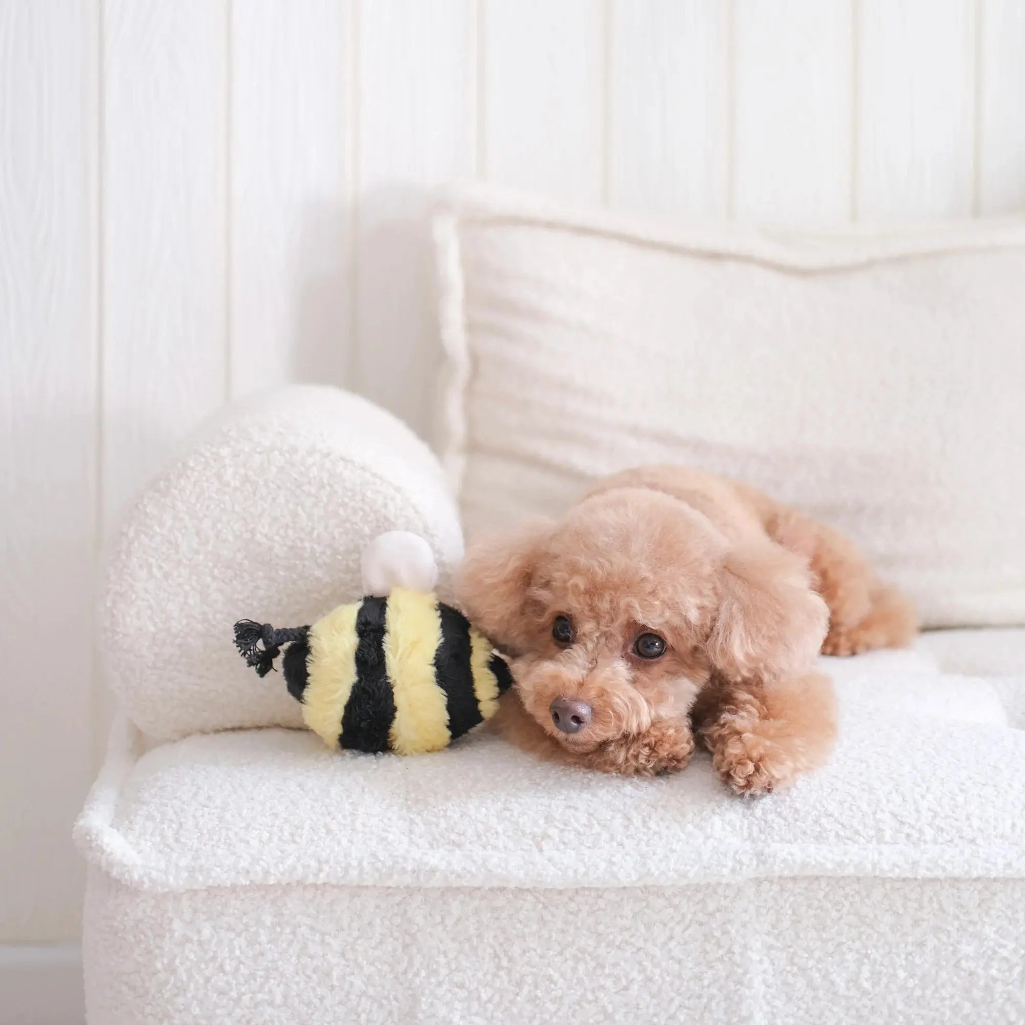 BEE POP bouncy + snuffle Lambwolf