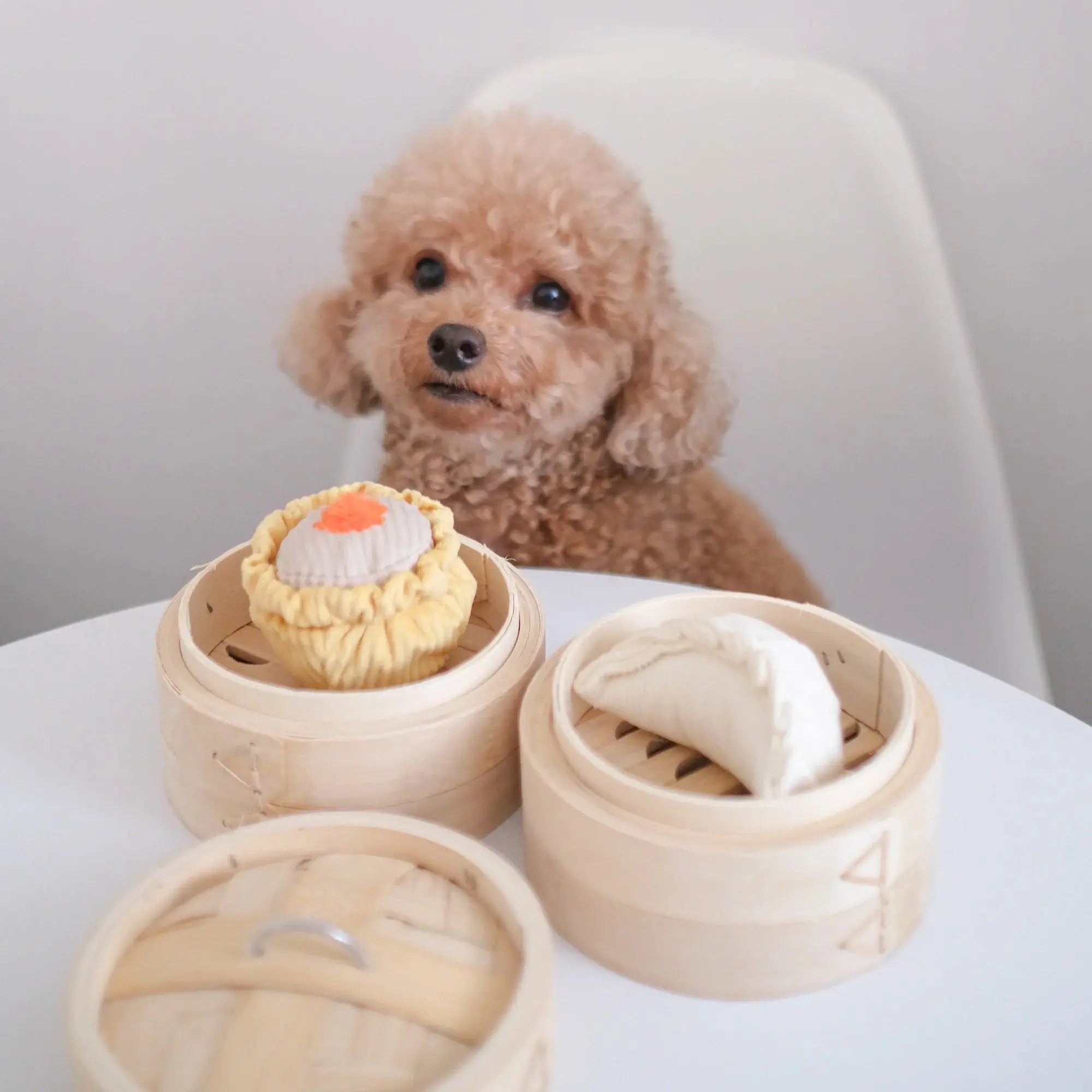 DIM SUM POP pop + squeaky