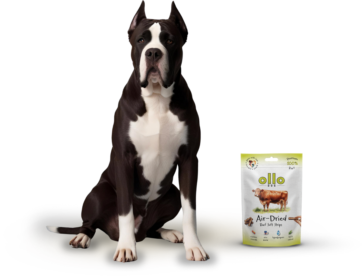 Ollo Air-Dried Beef Strips