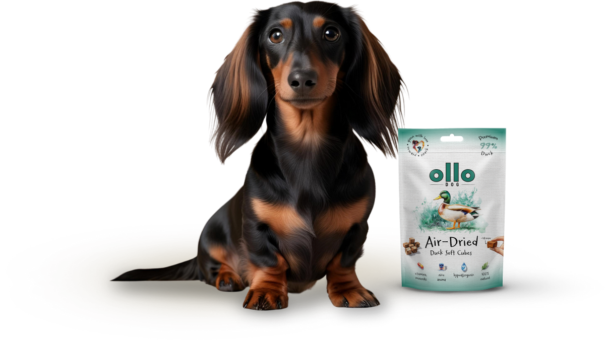 Ollo Air-Dried Duck Soft Cubes