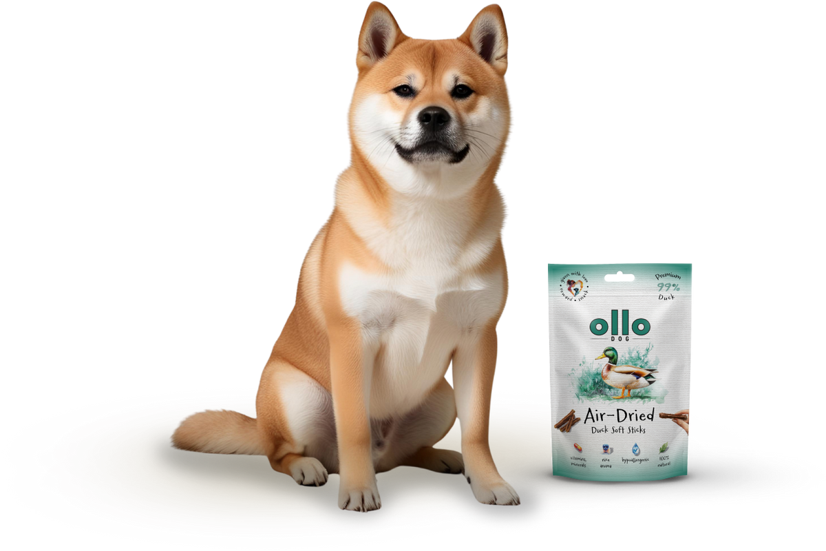 Ollo Air-Dried Duck Strips