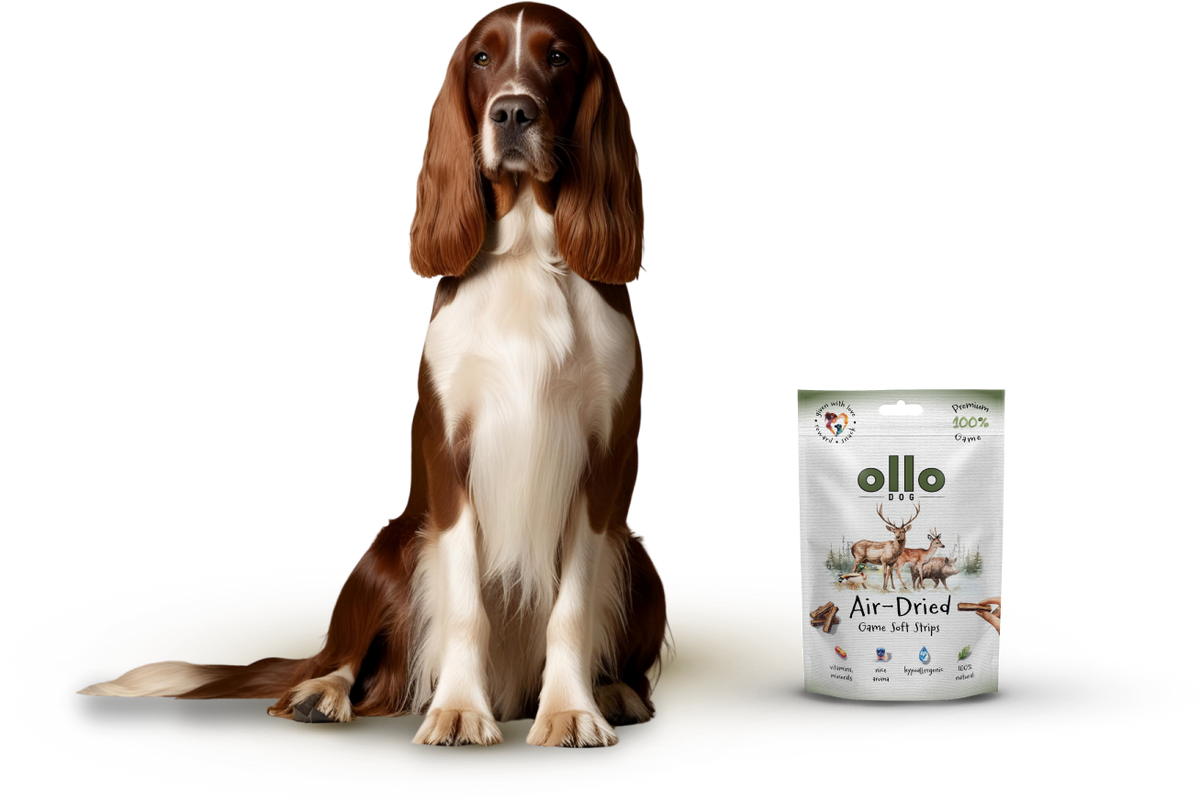 Ollo Air-Dried Game Strips