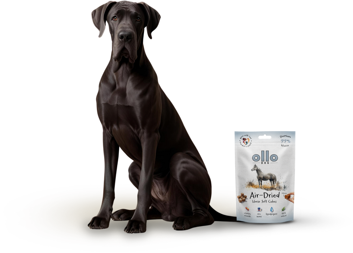 Ollo Air-Dried Horse Soft Cubes