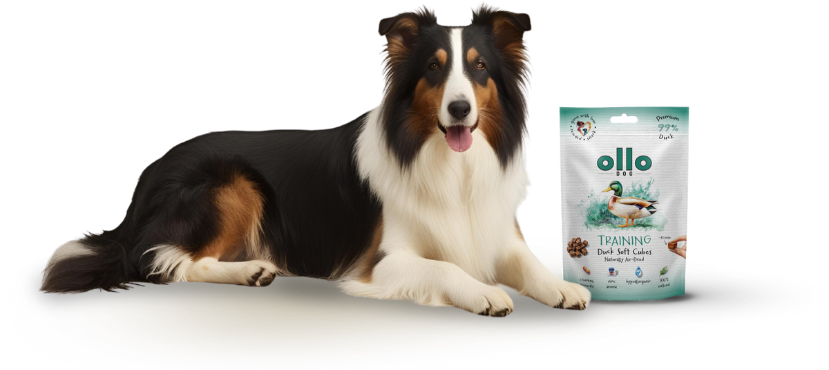 Ollo Air-Dried Training Duck Soft Cubes