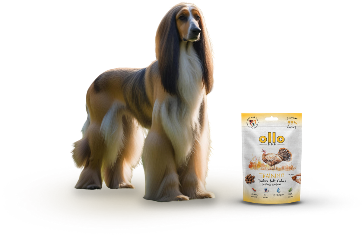 Ollo Air-Dried Training Turkey Soft Cubes