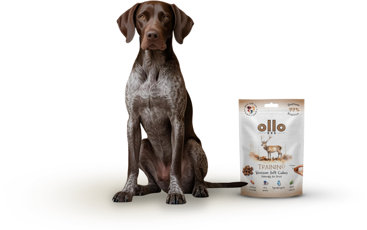 Ollo Air-Dried Training Venison Cubes