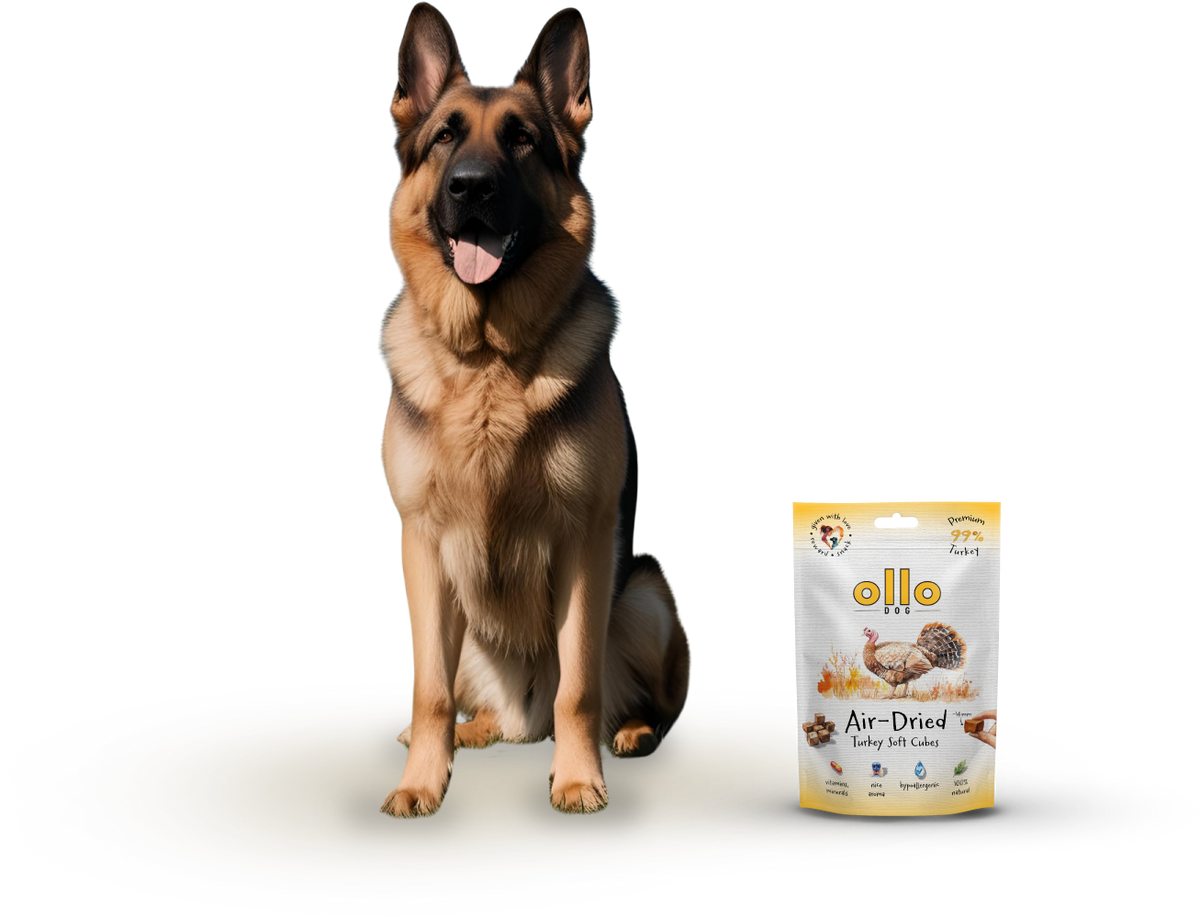 Ollo Air-Dried Turkey Soft Cubes
