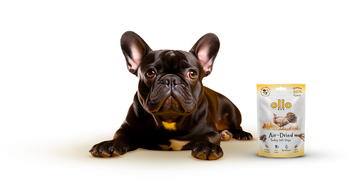 Ollo Air-Dried Turkey Strips