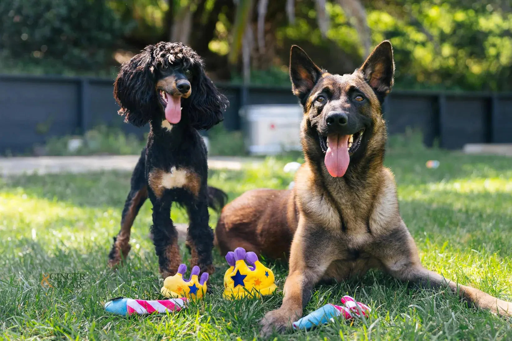 P.L.A.Y Mini Party Time Canine Crown Zabawka dla psa P.L.A.Y