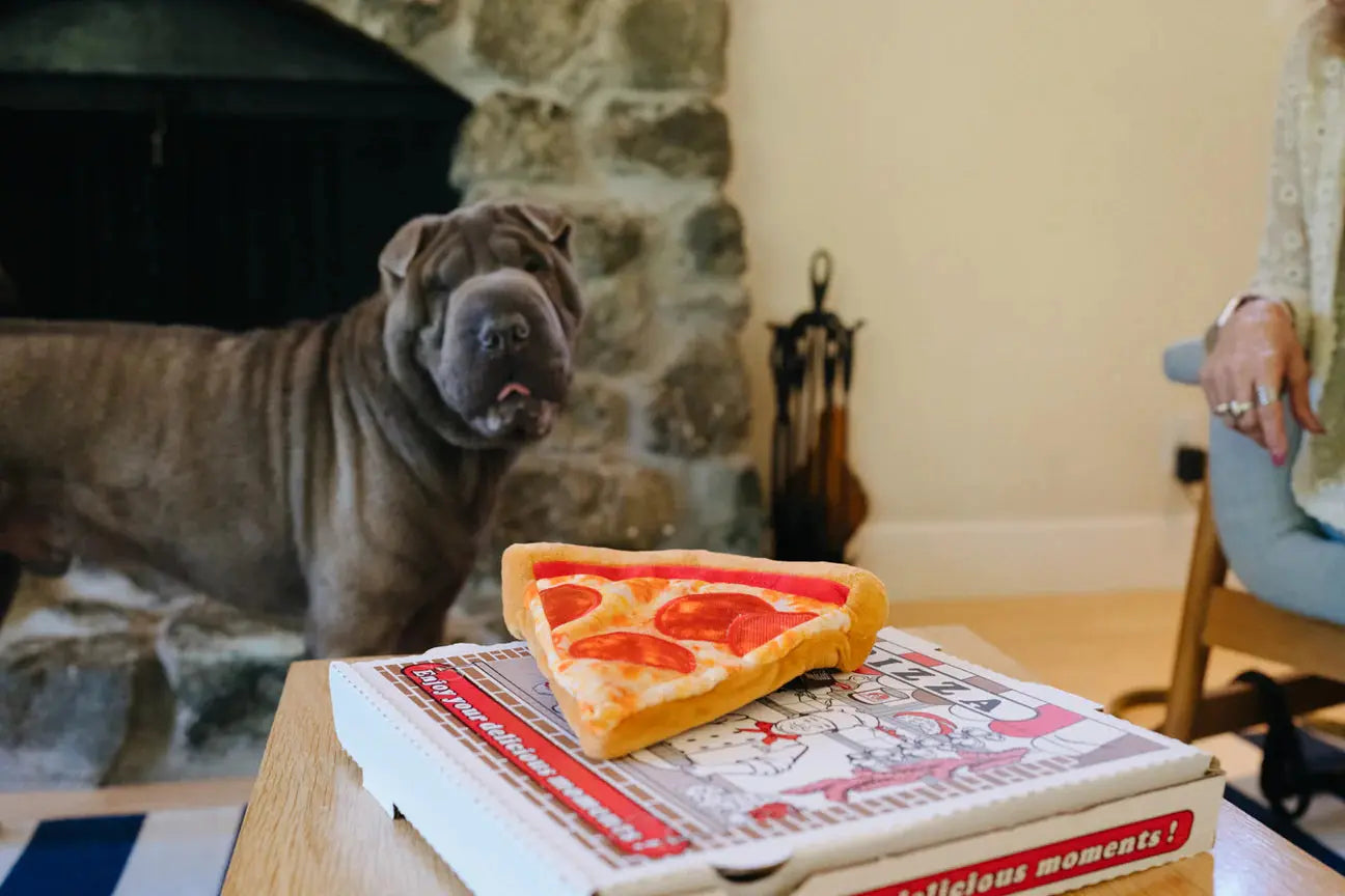 Snack Attack Puppy-roni Pizza XS P.L.A.Y