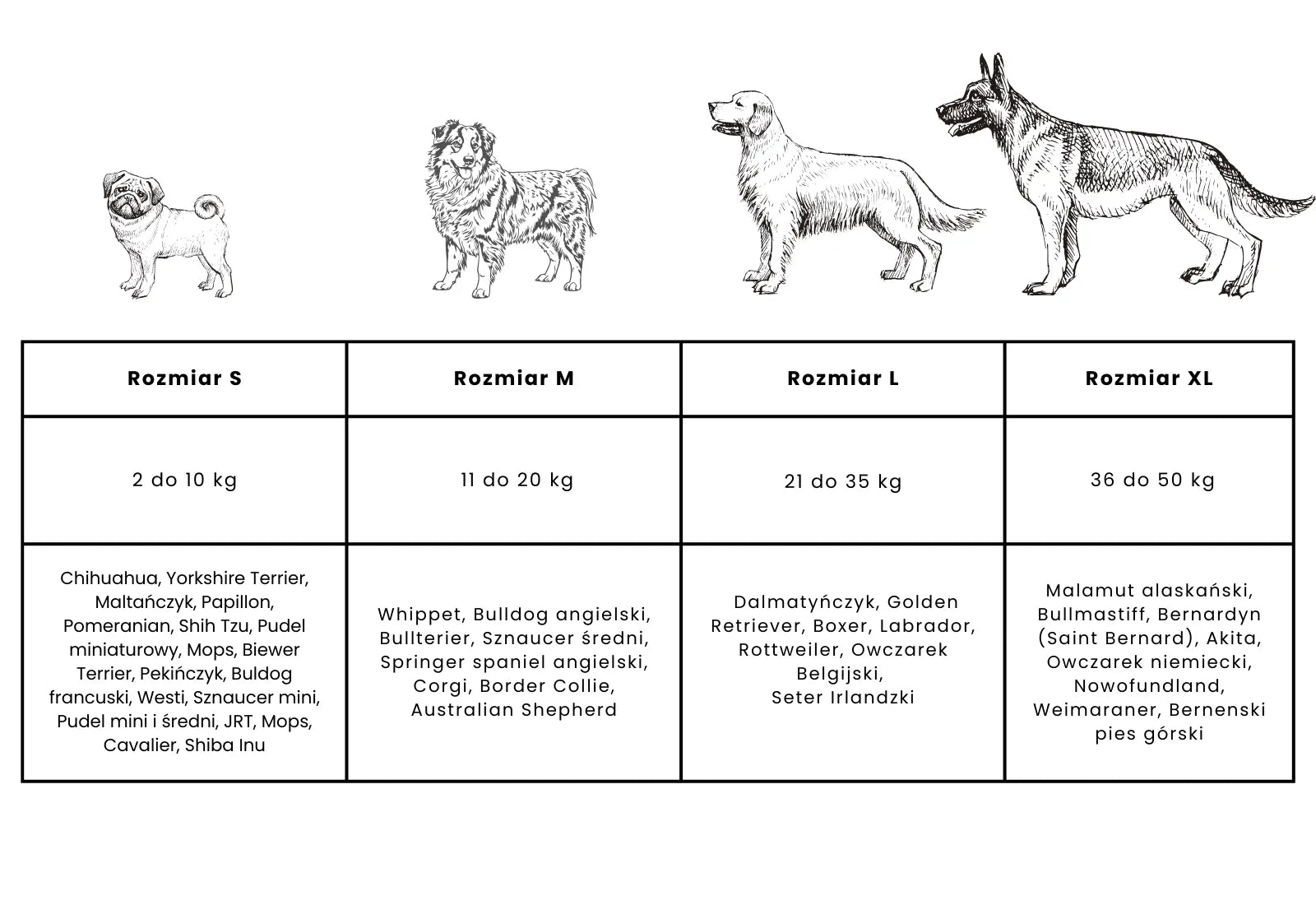 Lilo - legowisko ortopedyczne dla psa SandPaws S
