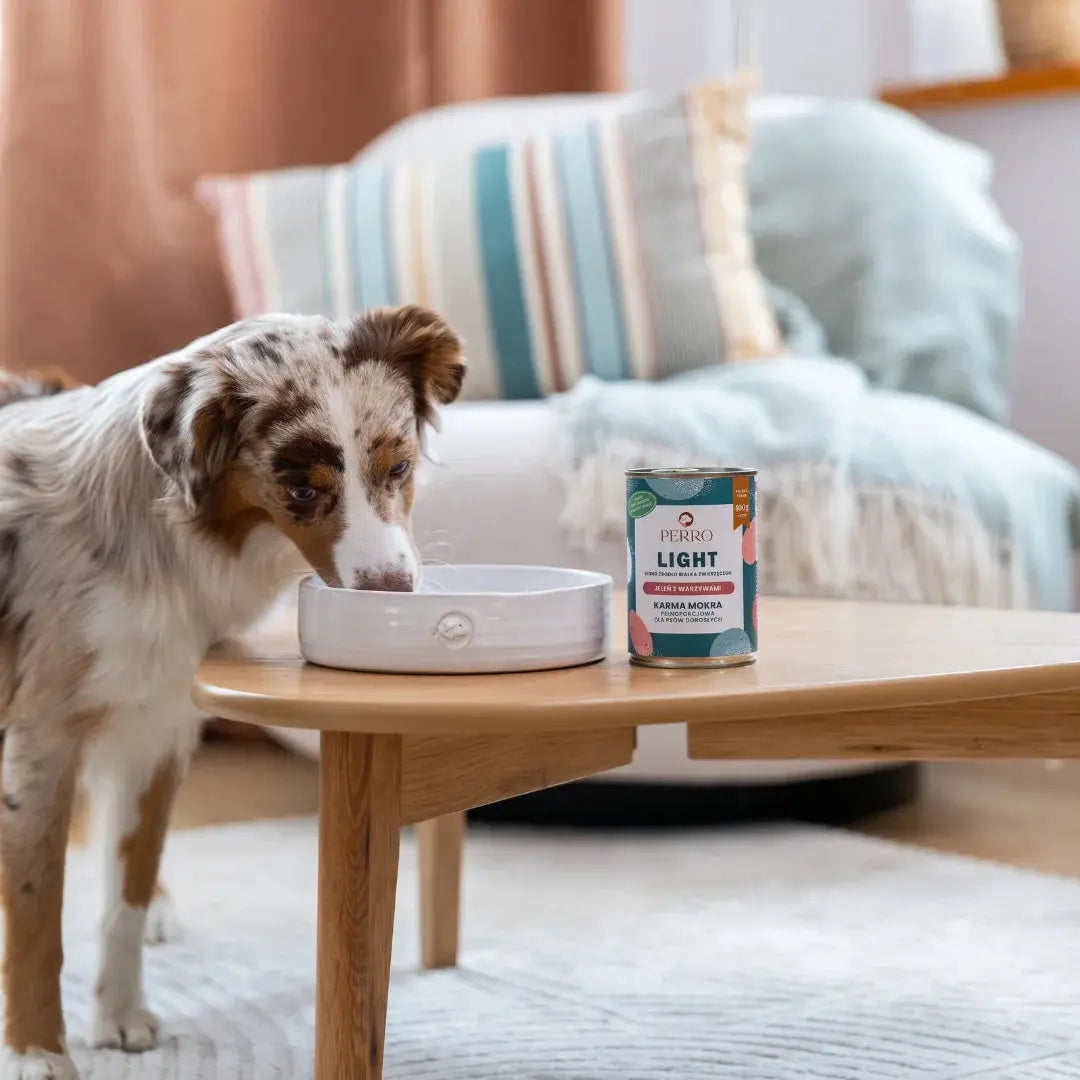 LIGHT Karma mokra Jeleń z warzywami – monobiałkowa formuła dla psów dorosłych 400g Perro