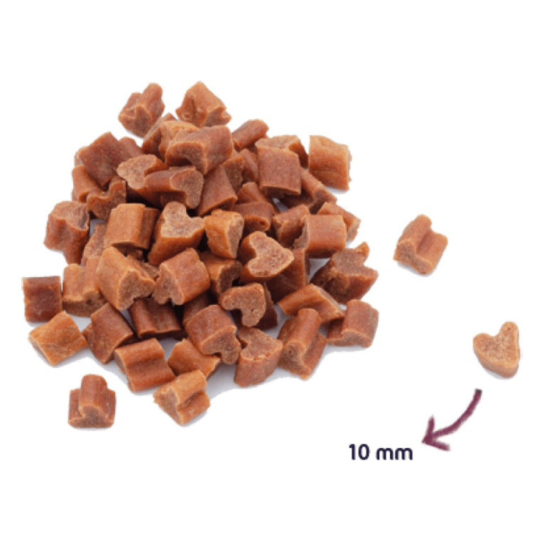 Renske Dog Healthy Mini Treat Salmon - przysmaki dla małego psa z łososia (300g)
