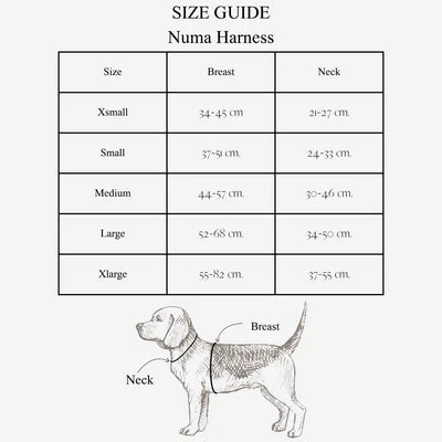 Numa Dog Harness | Dark Oak – Lekkie szelki dla psa
