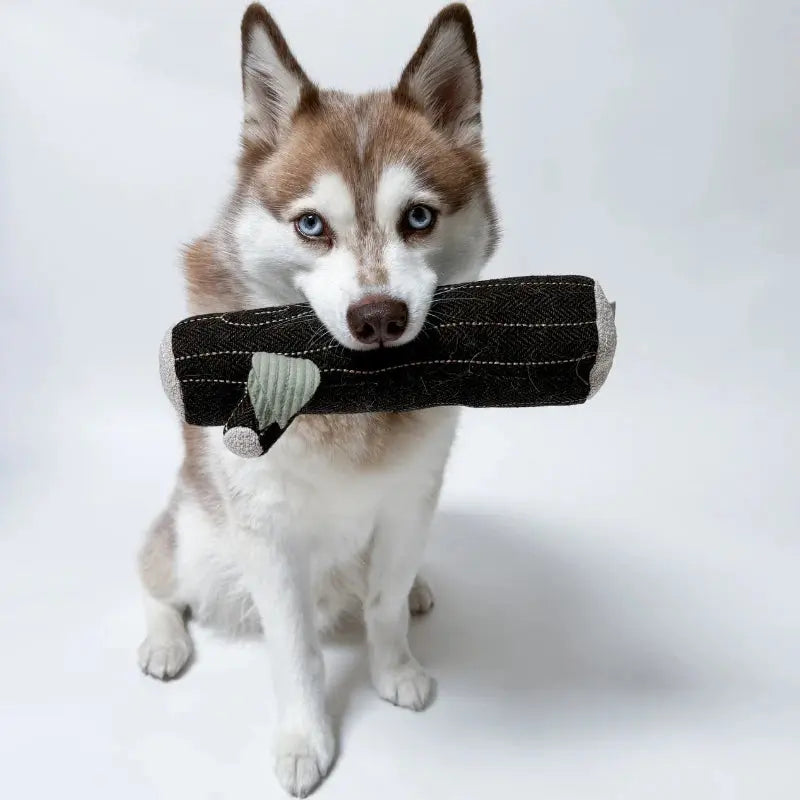 FIRE LOG SQUEAKY