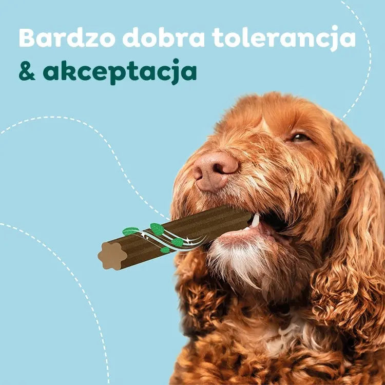 WOW DOG Natural Dentals Maxi - gryzaki dentystyczne dla psa (230g)