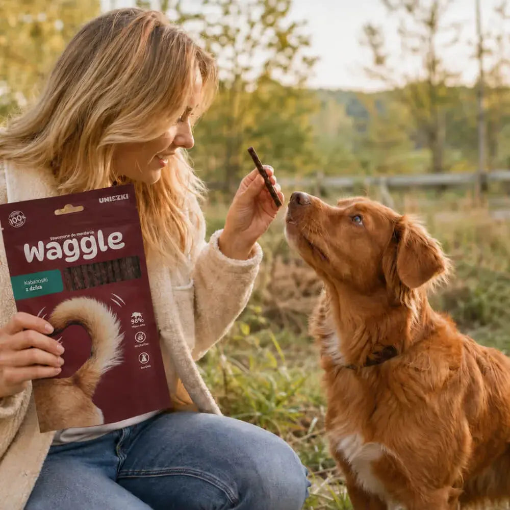 Waggle dzik