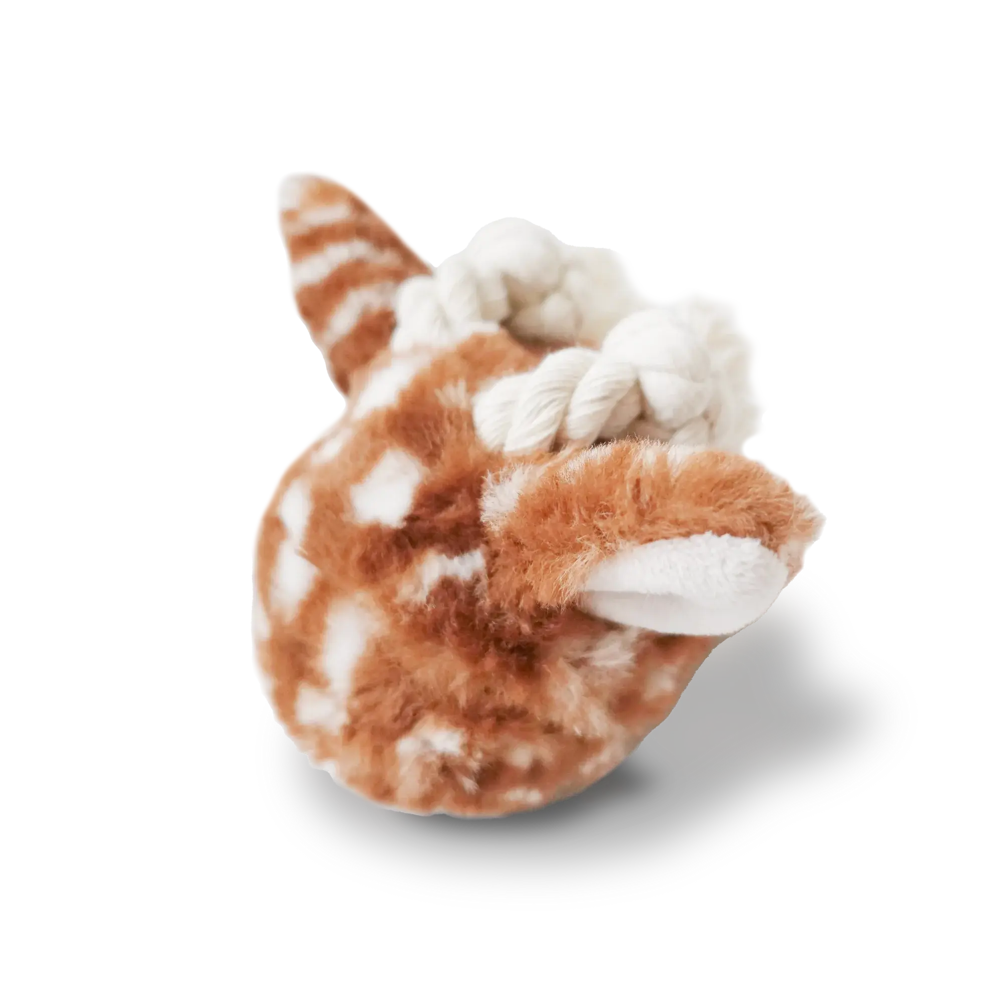 Fawn POP squeaky + bouncy