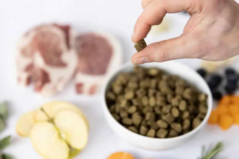 YDOLO Healthy Pure Iberico - wieprzowina Iberico karma półwilgotna dla psów (2,5kg) YDOLO