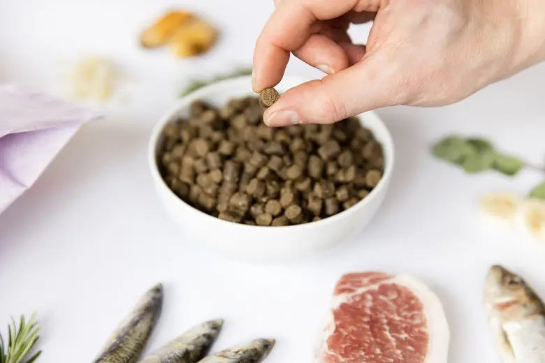 YDOLO Puppy - wieprzowina Iberico i ryby - karma półwilgotna dla szczeniąt (100g) YDOLO
