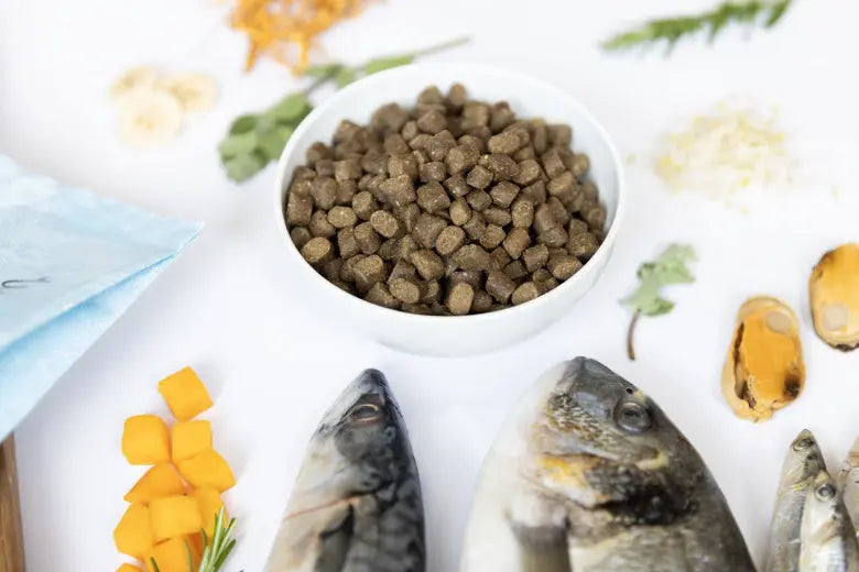 YDOLO Wild Fish - ryby morskie - karma półwilgotna dla psa YDOLO