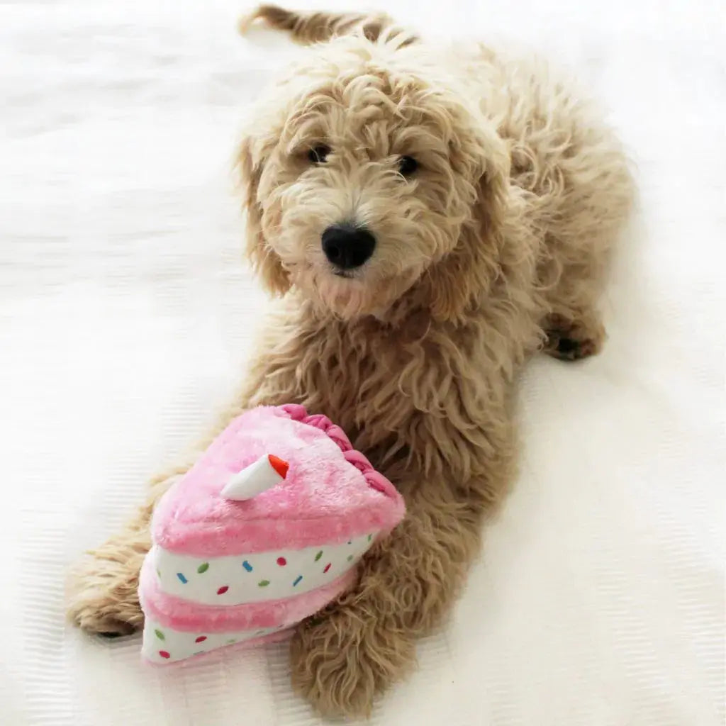 Zippy Paws Birthday Cake – Pink ZippyPaws