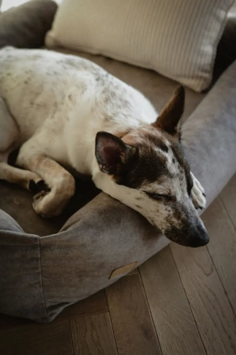 Legowisko ortopedyczne dla psa SONO Welur Recykling CIEMNY BEŻ M BeBobi