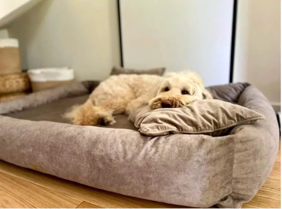 Legowisko ortopedyczne dla psa SONO Welur Recykling CIEMNY BEŻ M BeBobi