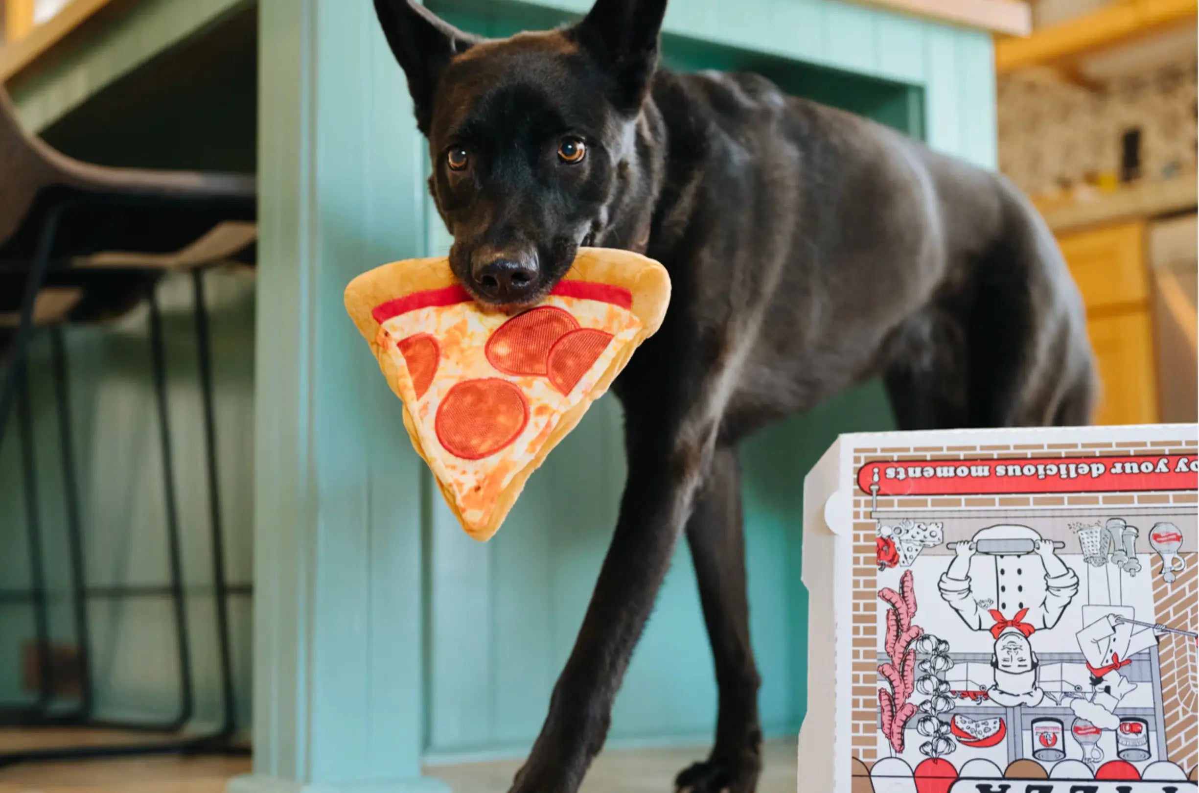 Snack Attack Puppy-roni Pizza XS P.L.A.Y